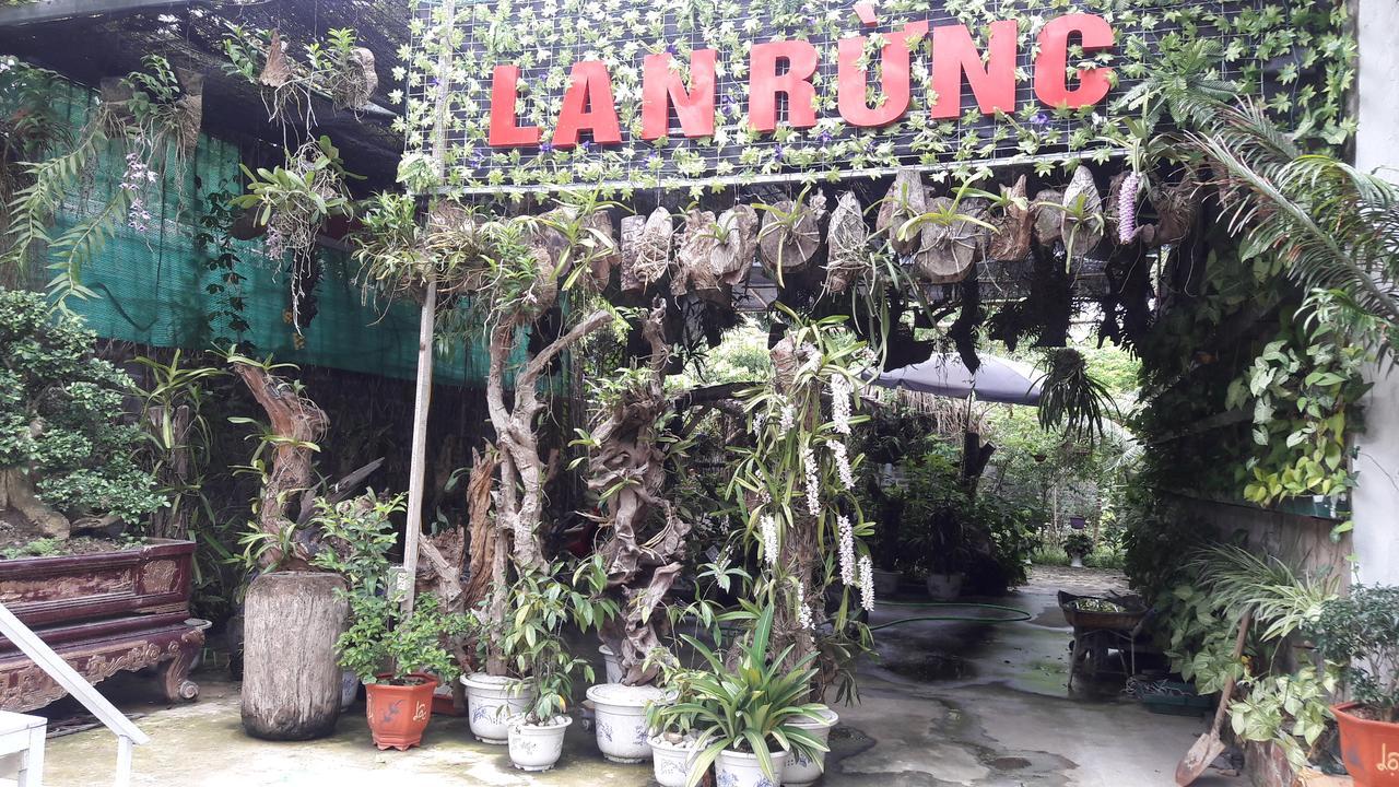 Homestay Lan Rung Nghia Lo Exterior foto