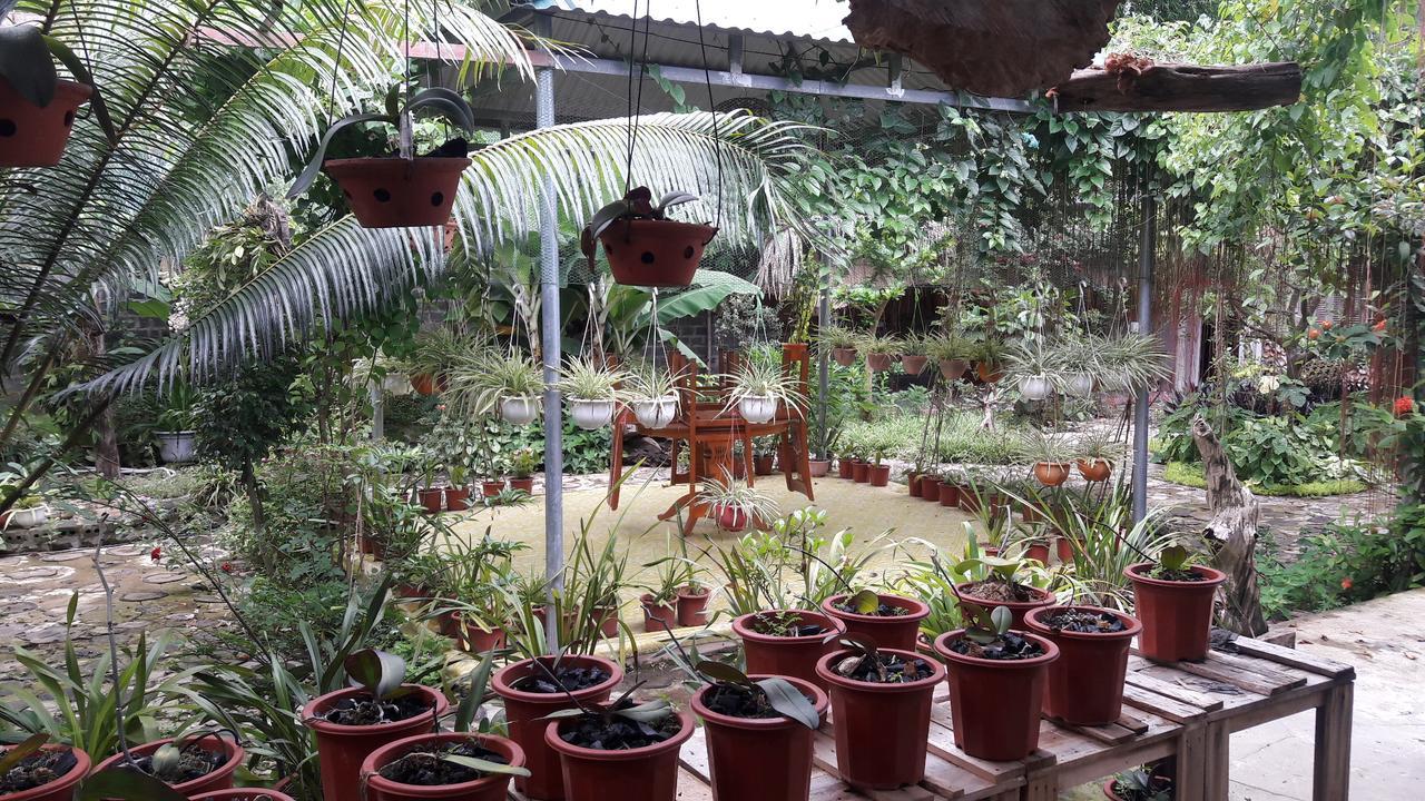 Homestay Lan Rung Nghia Lo Exterior foto